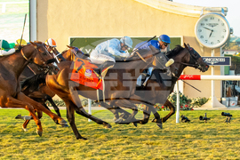 Del Mar Horse Racing