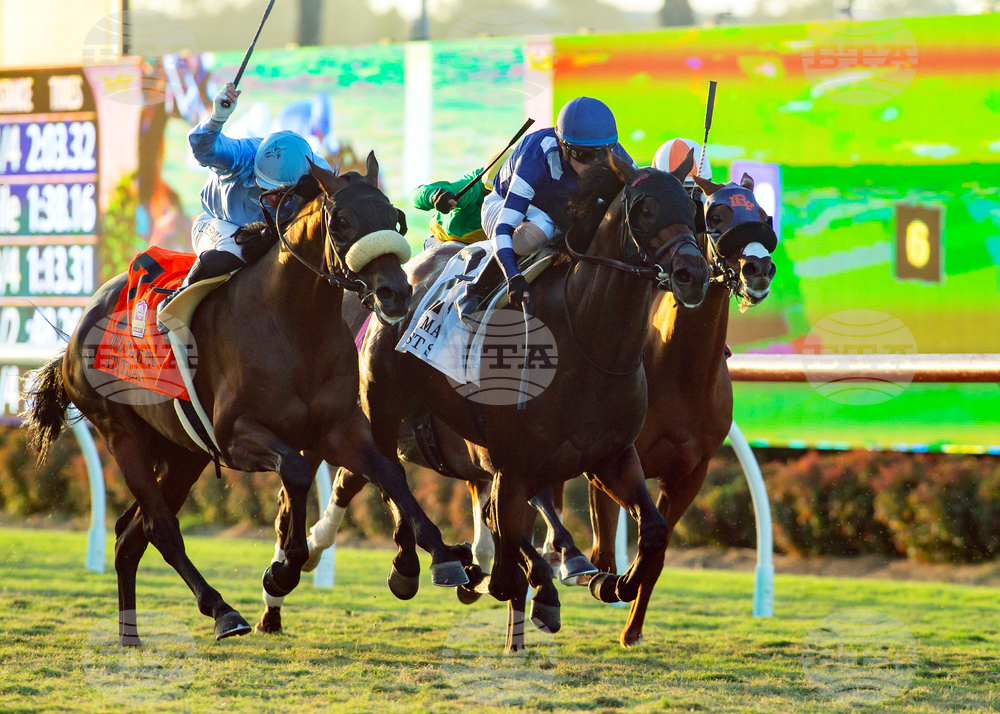 Del Mar Horse Racing