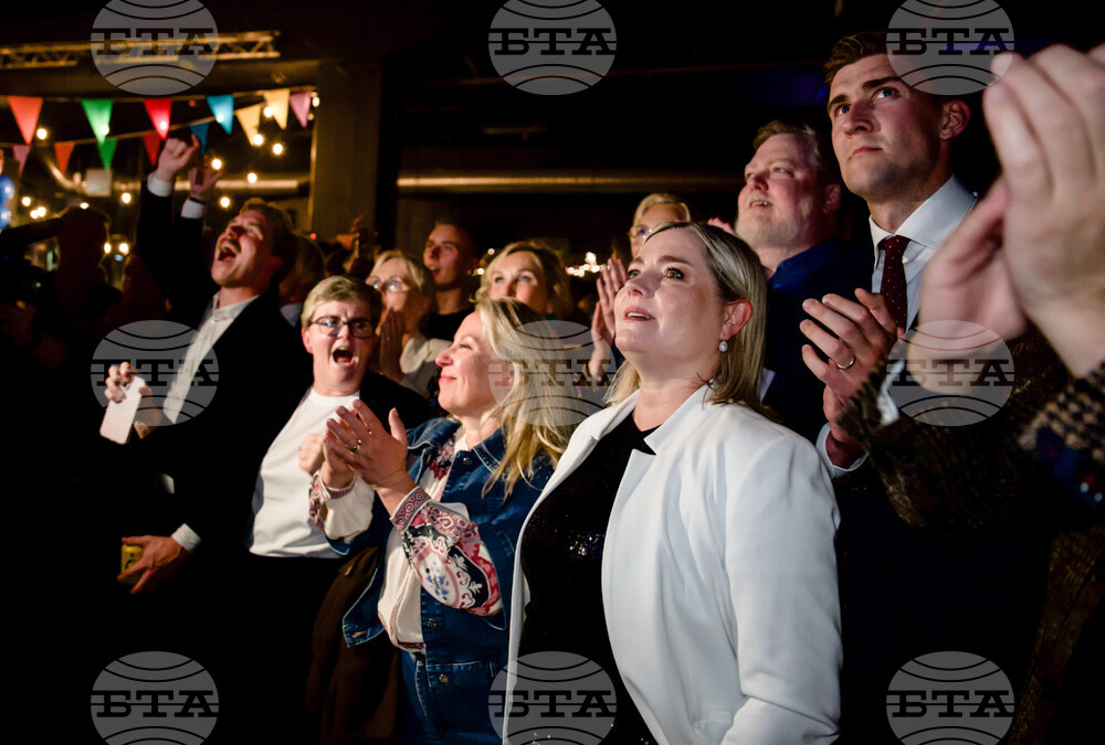 Iceland EU Election