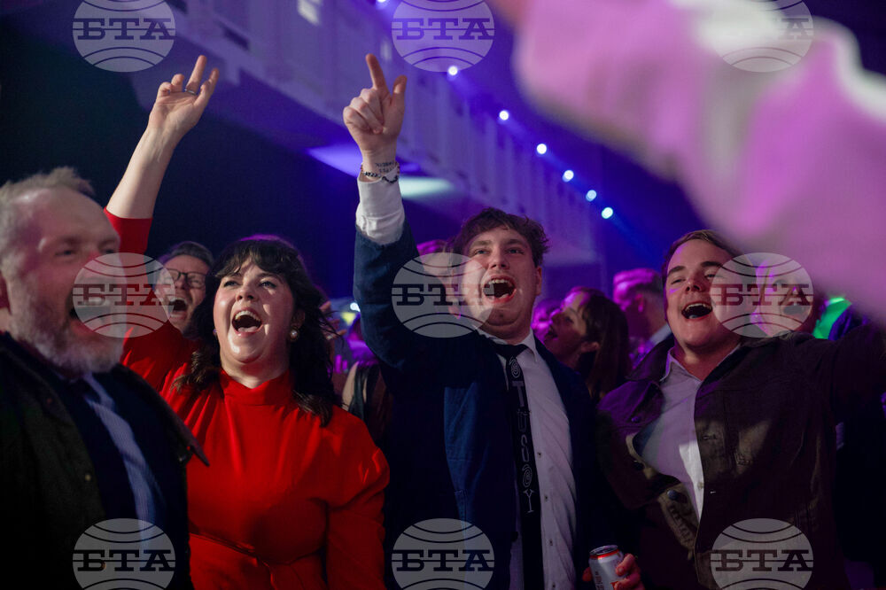 Iceland EU Election