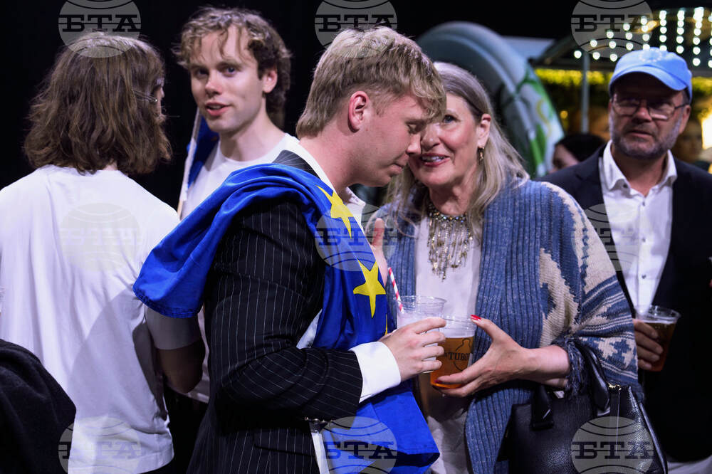Iceland EU Election