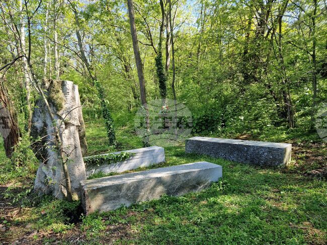 Бургас - паметник - инцидент