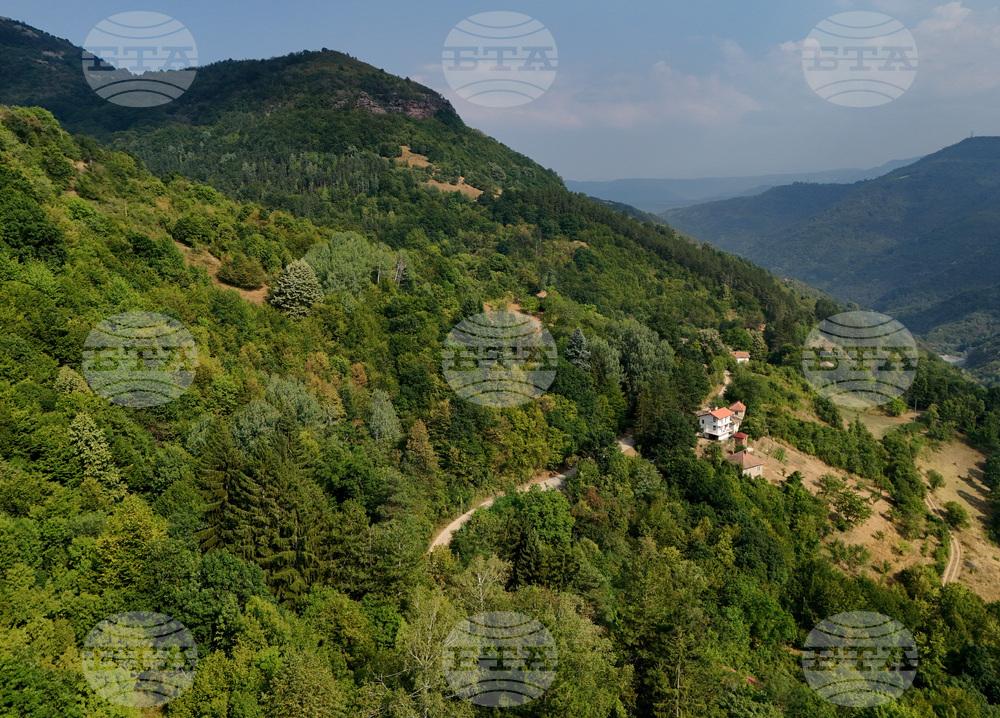 Прогноза за времето