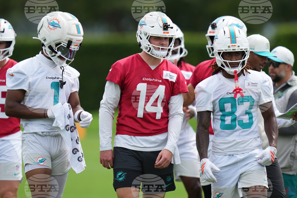 Dolphins Football