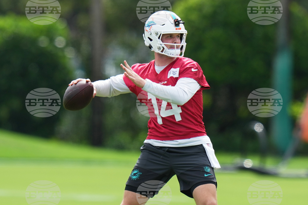 Dolphins Football