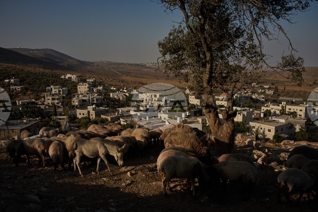 Palestinians West Bank Daily Life