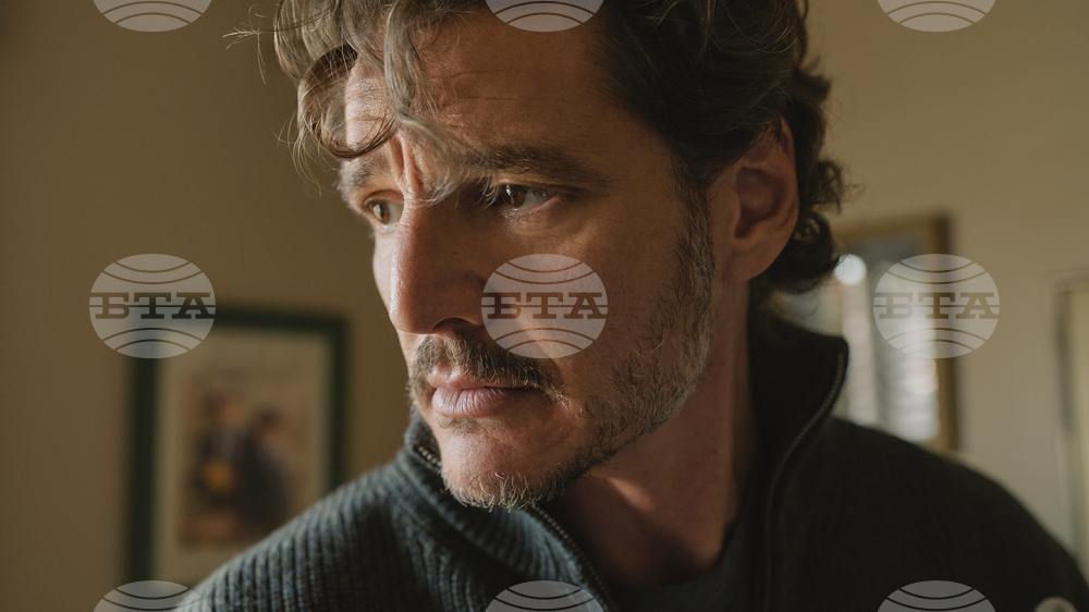 Fall Film Preview