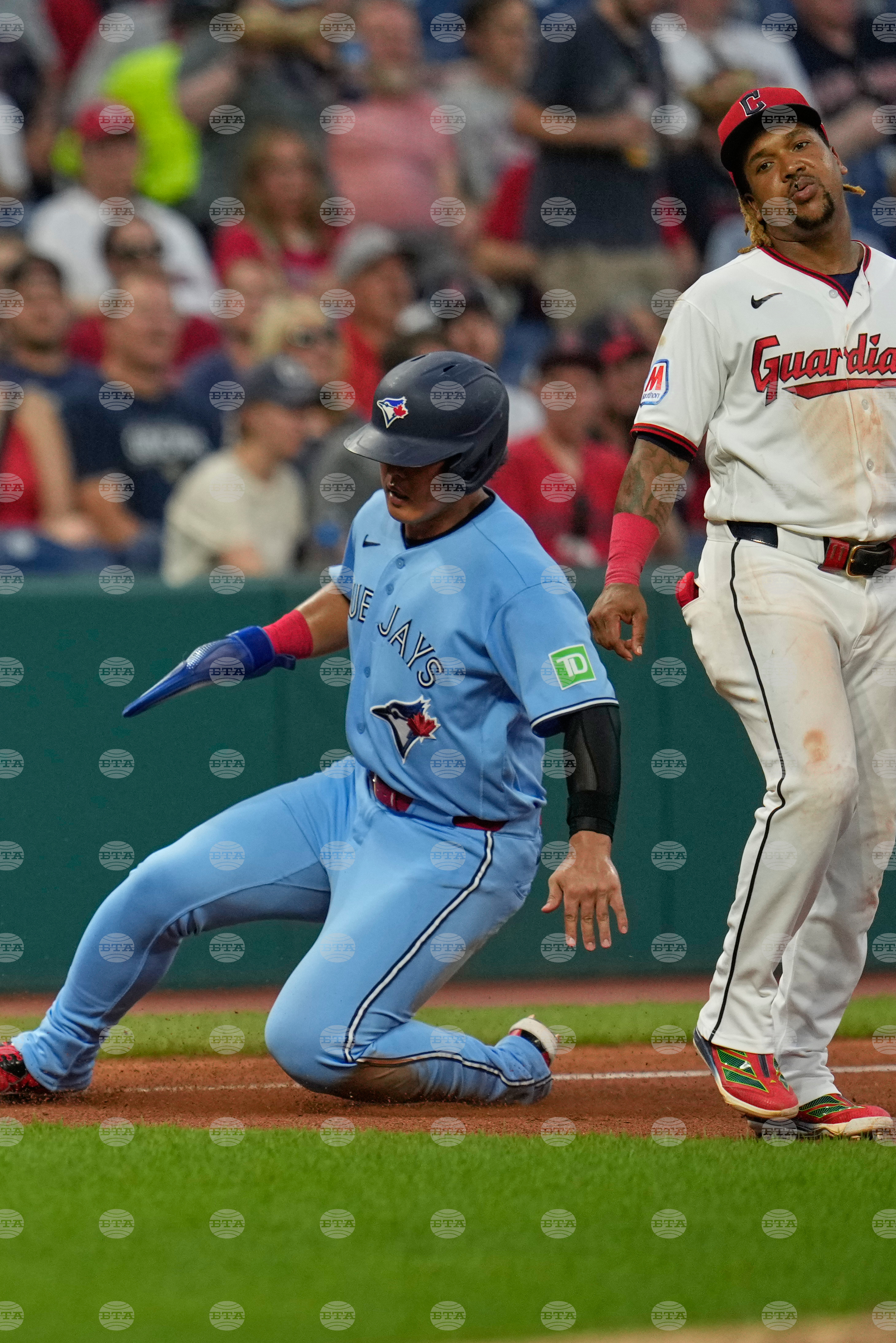 Blue Jays Guardians Baseball