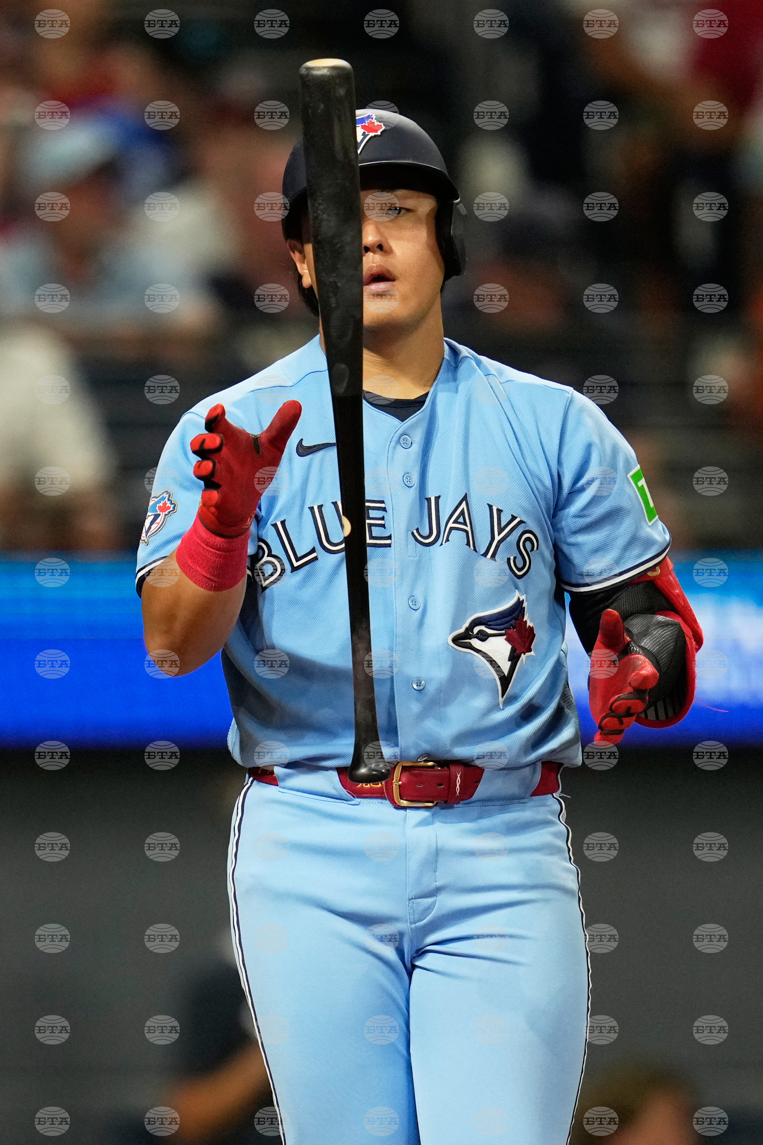 Blue Jays Guardians Baseball