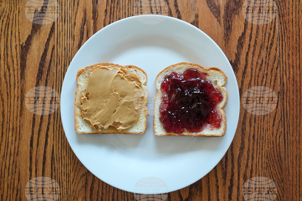 Food-Education-School Lunch-PB&J