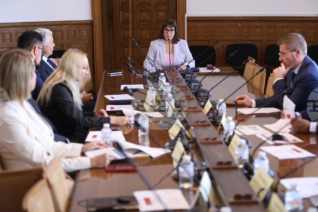 Parliamentary Committee on Direct Participation of Citizens Adopts Ombudsman's 2025 Annual Report