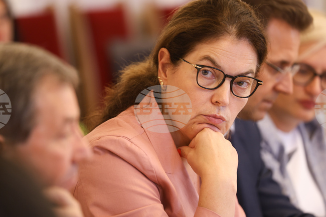 Maritsa East 2 TPP and Maritsa East Mines Merged into Maritsa East Holding, Energy Minister Says