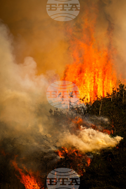 California Wildfires