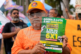 Brazil Working Days