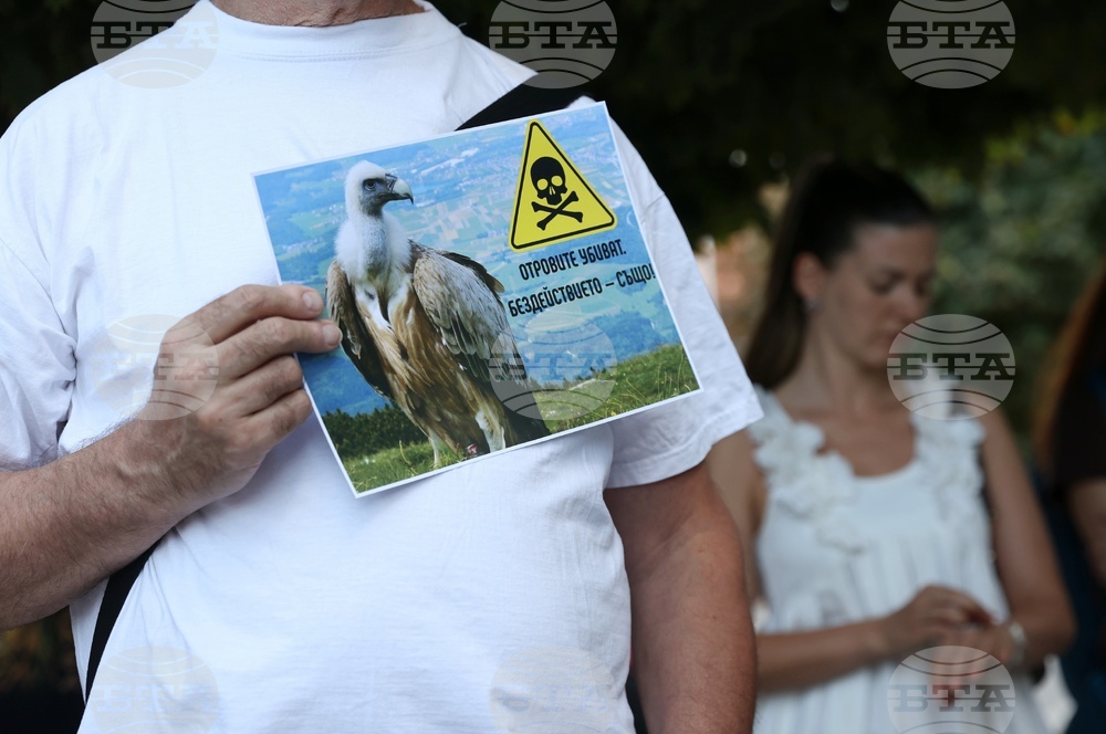 Българско дружество за защита на птиците (БДЗП) - протест