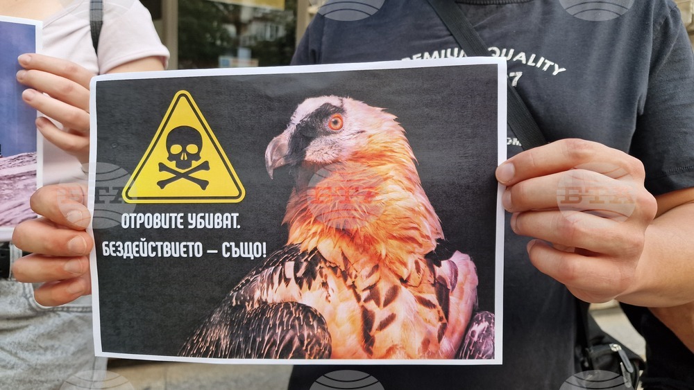 Пловдив - протест - отровени лешояди