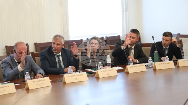 Комисията по политиките за българите извън страната обсъди днес спряната паспортна услуга и дейността на Агенцията за българите в чужбина