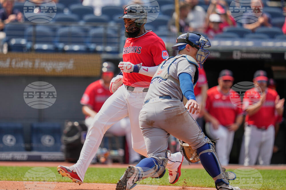 Blue Jays Guardians Baseball