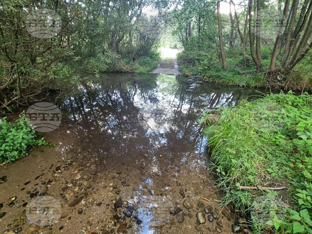 Investigation Opened After Dead Fish Found in Struma River