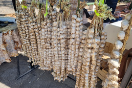 Село Долни Раковец - „Чесън фест“