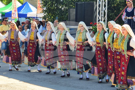 Село Долни Раковец - „Чесън фест“