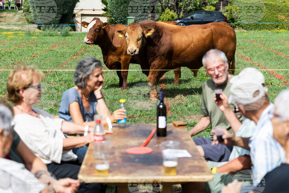 Switzerland Daily Life
