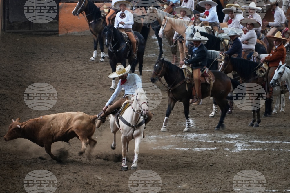Mexico Charro Fest