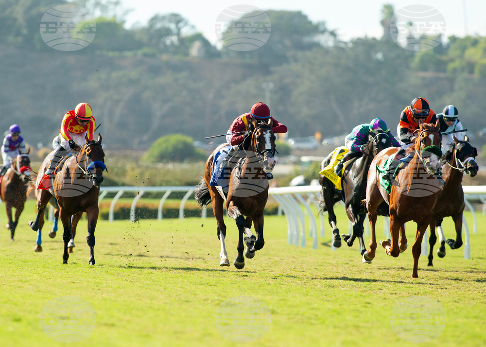 Del Mar Horse Racing