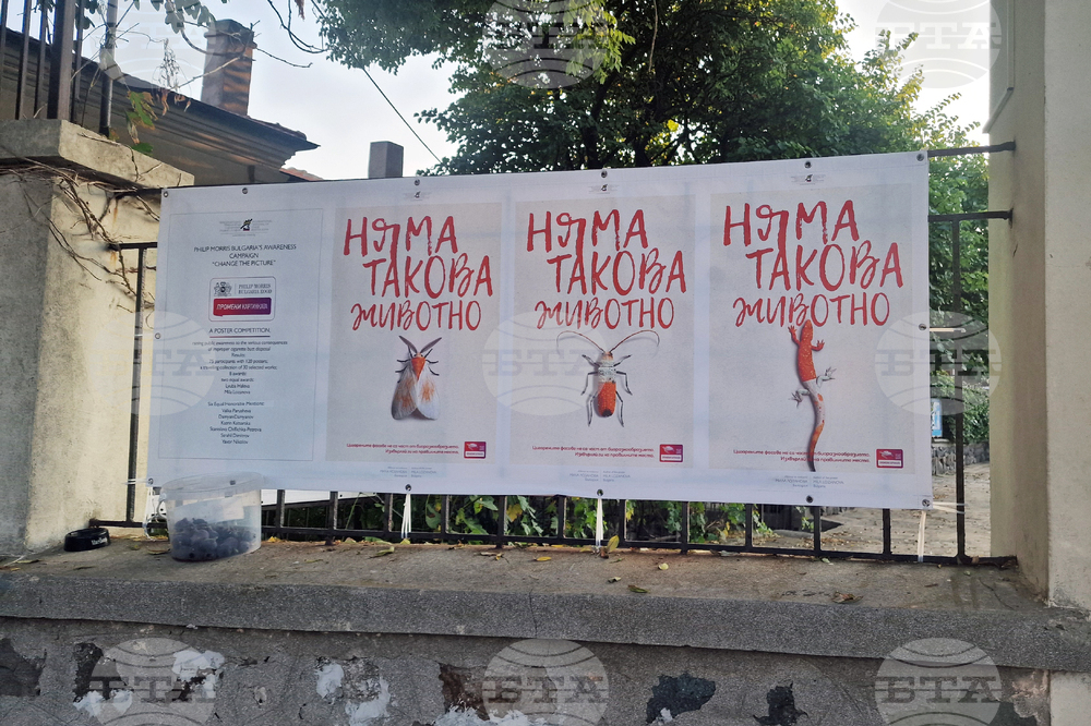 Созопол - „Аполония“ - изложба „Промени картинката“