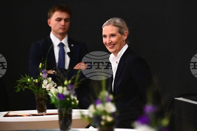 Germany Elections