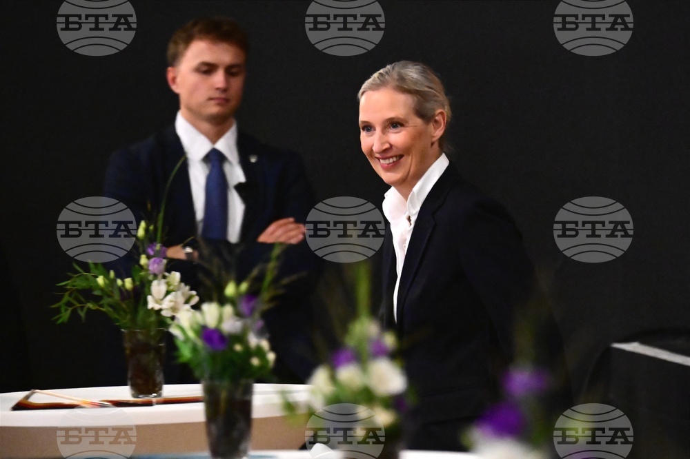 Germany Elections