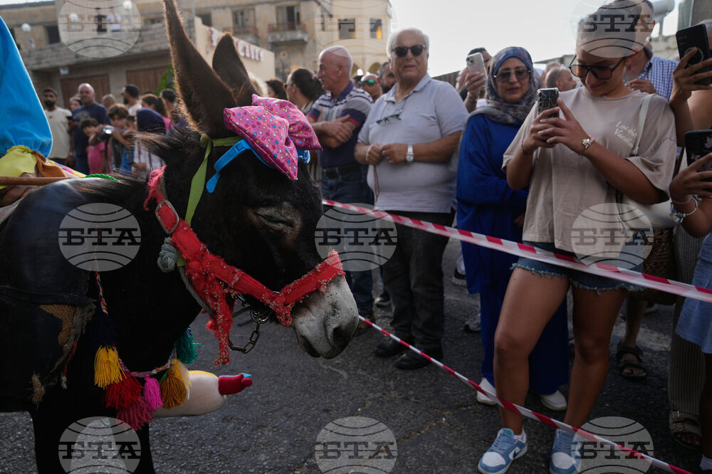 Lebanon Donkey Racing