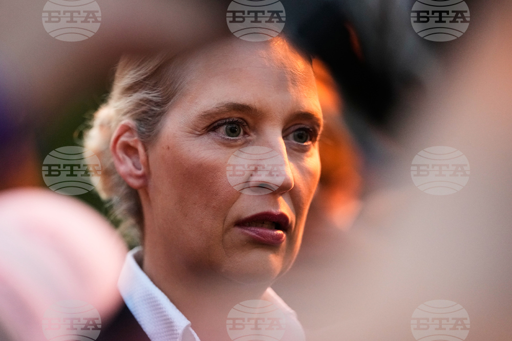 Germany Election