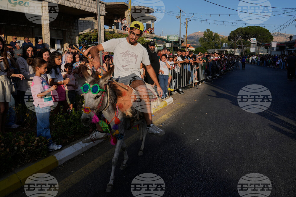 Lebanon Donkey Racing