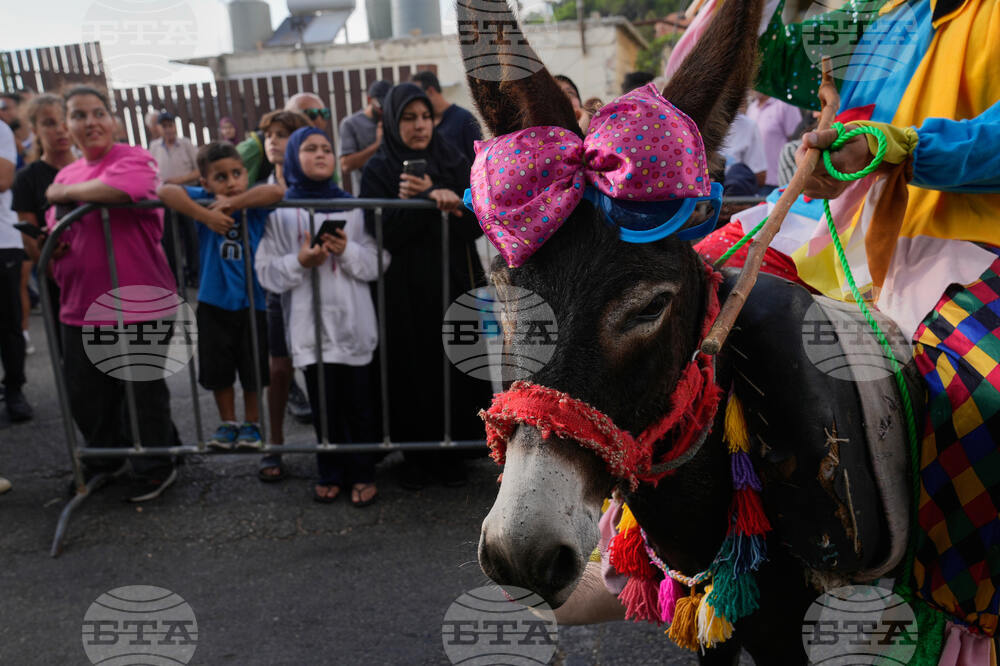 Lebanon Donkey Racing