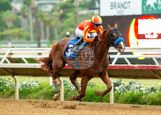 Del Mar Horse Racing