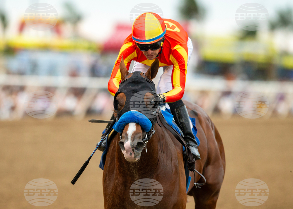 Del Mar Horse Racing