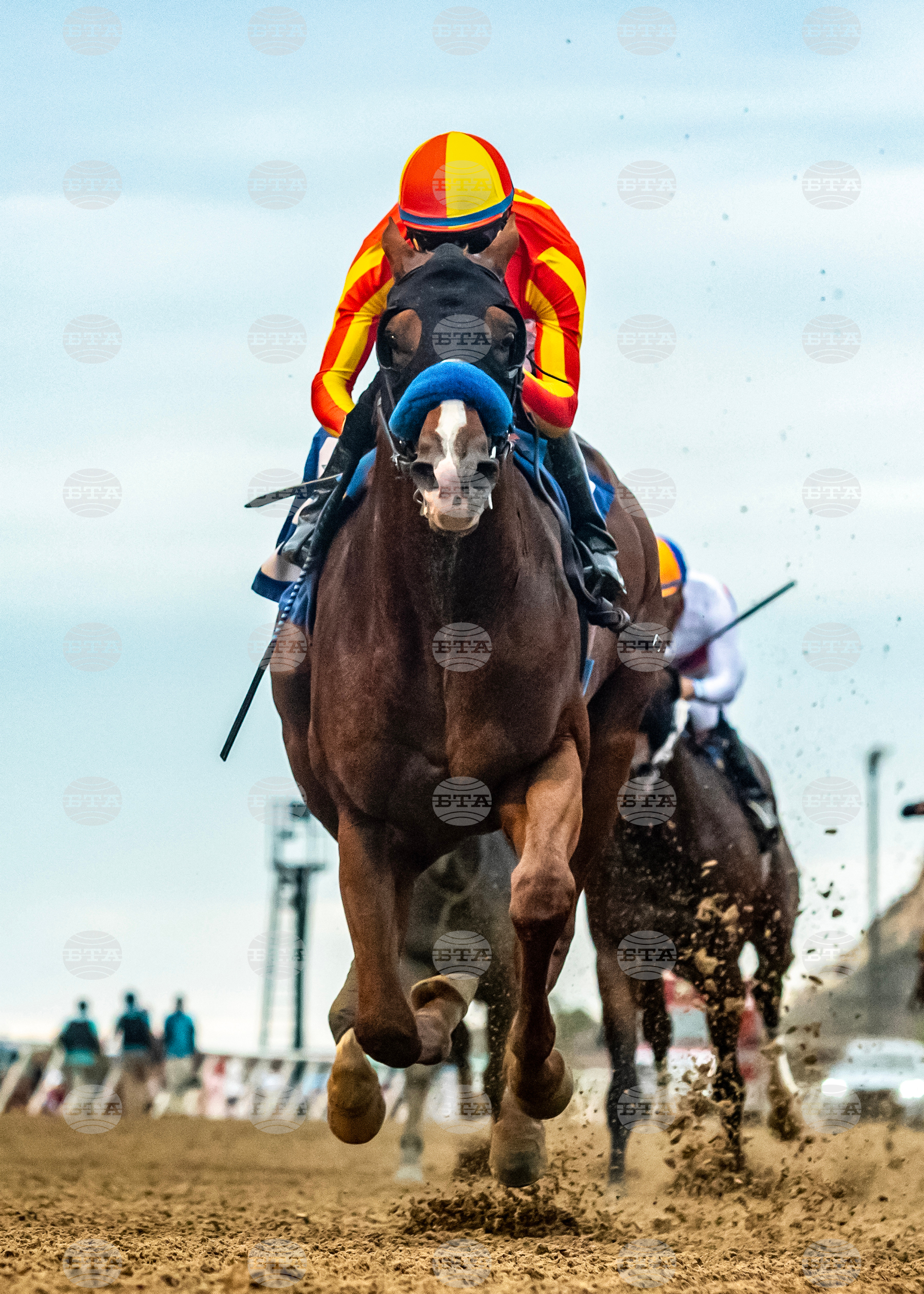 Del Mar Horse Racing