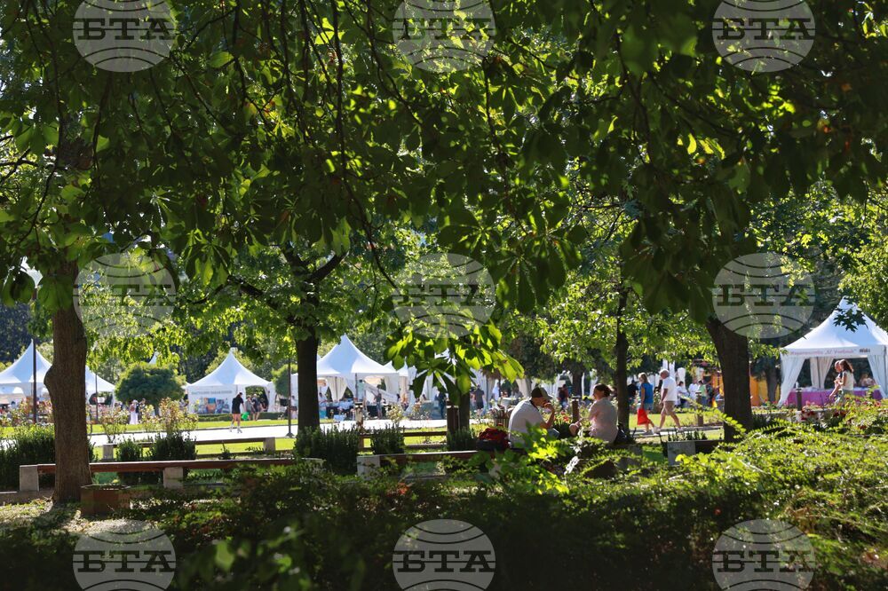 Book Alley to Close with Author Events