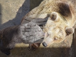 Снимка: Община Благоевград