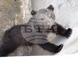 Снимка: Община Благоевград