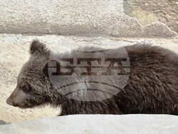 Снимка: Община Благоевград