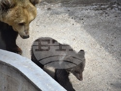 Снимка: Община Благоевград