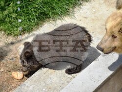 Снимка: Община Благоевград