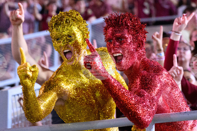 APTOPIX SMU Florida St Football