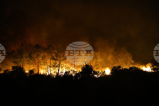 Turkey Wildfire
