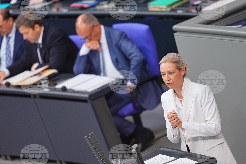 Germany Politics