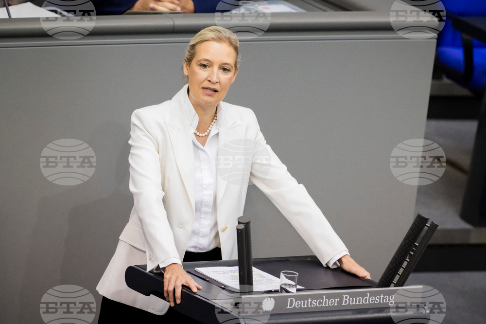 Germany Politics