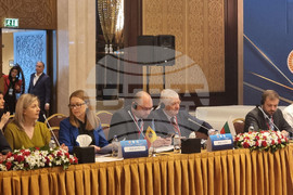 Турция - ПАЧИС - среща - Петър Кънев