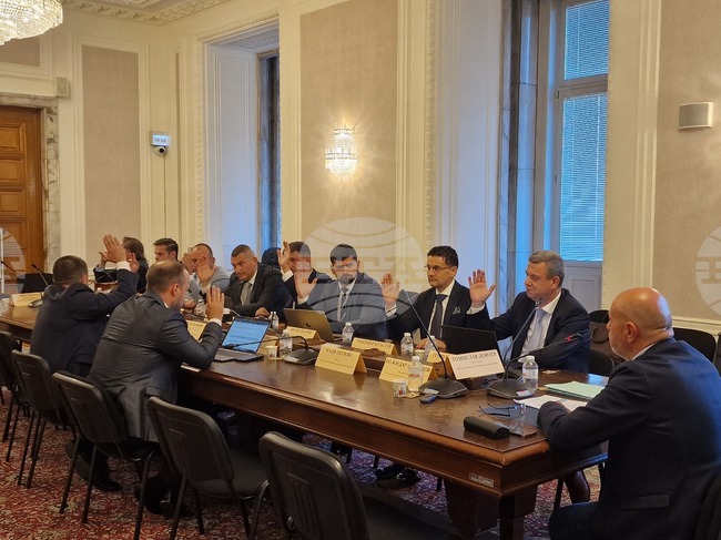 Комисията по иновациите гласува с единодушие на първо четене законови промени за насърчаване на производството на оптични дискове и матрици за тяхното производство